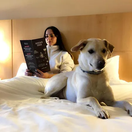 Ibis Porto Sul Europarque Hotel