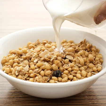 Hotel Ibis Porto Sul Europarque Santa Maria da Feira