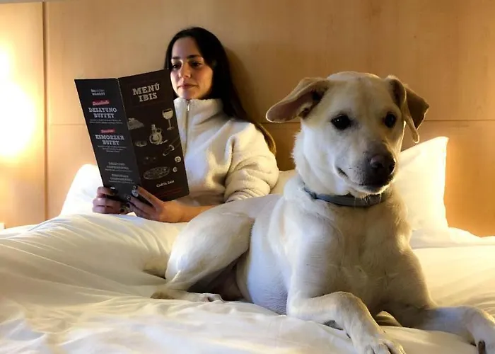 Ibis Porto Sul Europarque Hotel