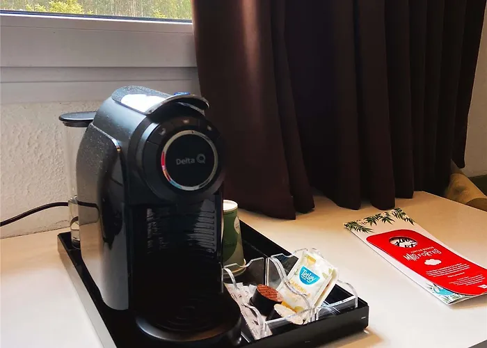 Отель Ibis Porto Sul Europarque